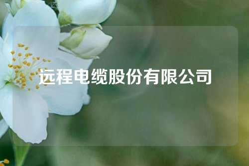 远程电缆股份有限公司