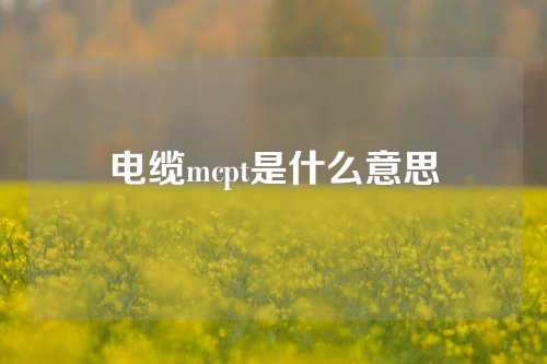 电缆mcpt是什么意思