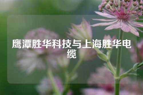 鹰潭胜华科技与上海胜华电缆