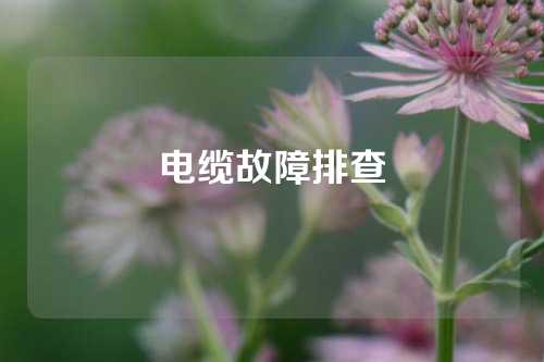 电缆故障排查