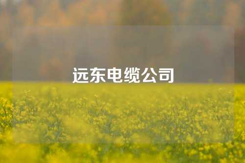 远东电缆公司