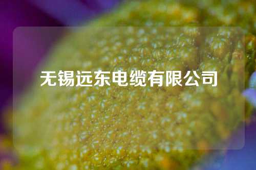 无锡远东电缆有限公司