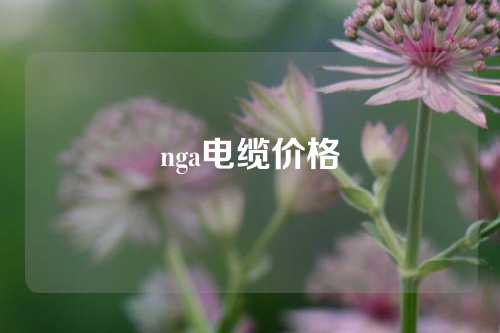 nga电缆价格