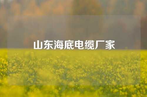 山东海底电缆厂家