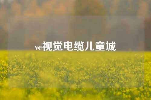 ve视觉电缆儿童城