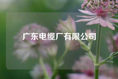 广东电缆厂有限公司