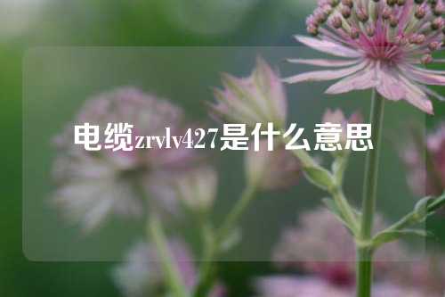 电缆zrvlv427是什么意思