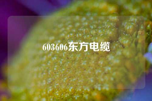 603606东方电缆