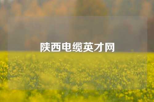 陕西电缆英才网