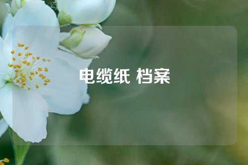 电缆纸 档案