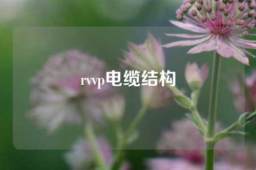 rvvp电缆结构