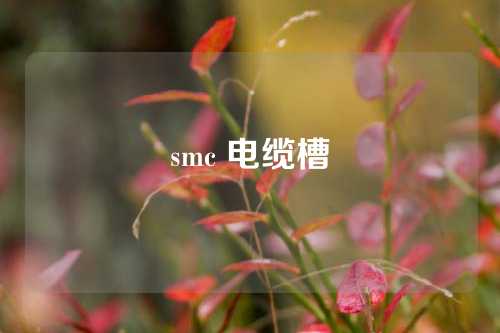 smc 电缆槽