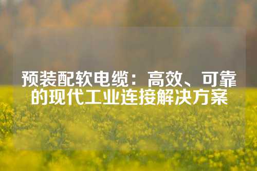 预装配软电缆：高效、可靠的现代工业连接解决方案