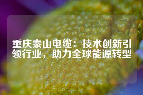 重庆泰山电缆：技术创新引领行业，助力全球能源转型