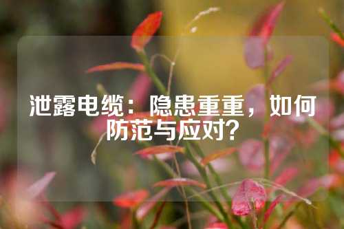 泄露电缆：隐患重重，如何防范与应对？