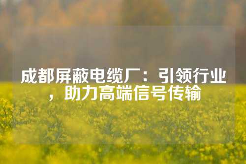 成都屏蔽电缆厂：引领行业，助力高端信号传输