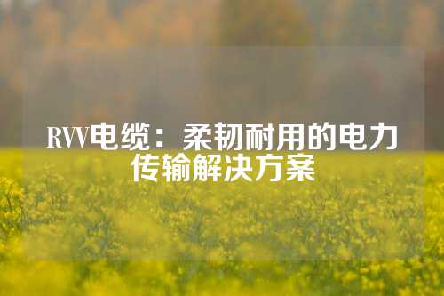 RVV电缆：柔韧耐用的电力传输解决方案