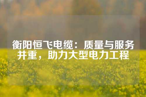 衡阳恒飞电缆：质量与服务并重，助力大型电力工程