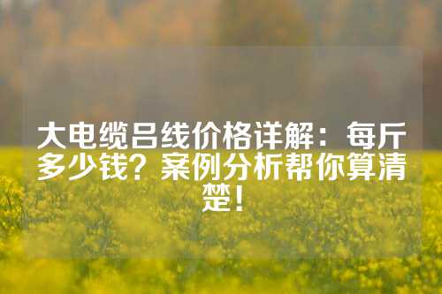 大电缆吕线价格详解：每斤多少钱？案例分析帮你算清楚！