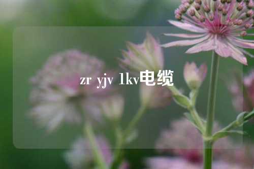 zr yjv 1kv电缆