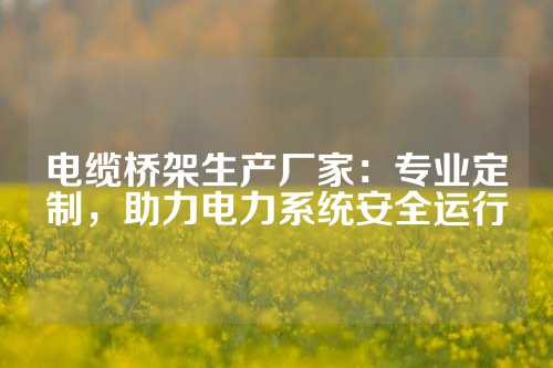 电缆桥架生产厂家：专业定制，助力电力系统安全运行