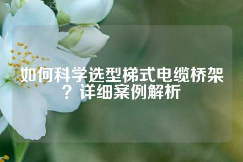 如何科学选型梯式电缆桥架？详细案例解析