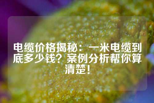 电缆价格揭秘：一米电缆到底多少钱？案例分析帮你算清楚！