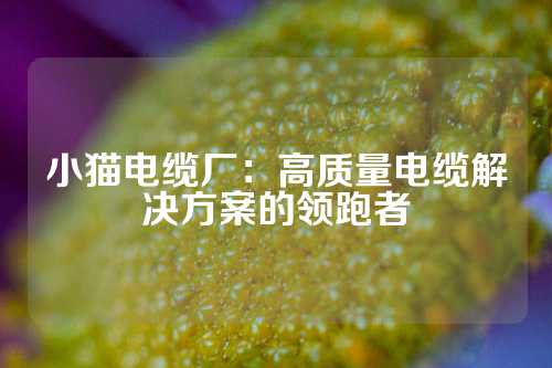 小猫电缆厂：高质量电缆解决方案的领跑者