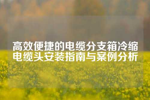 高效便捷的电缆分支箱冷缩电缆头安装指南与案例分析