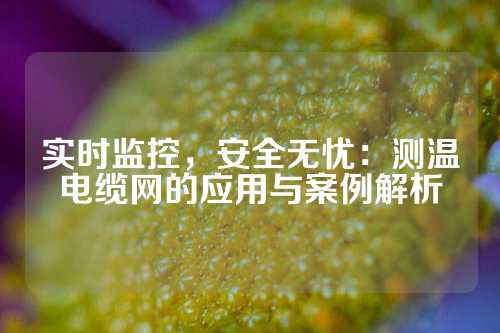 实时监控，安全无忧：测温电缆网的应用与案例解析