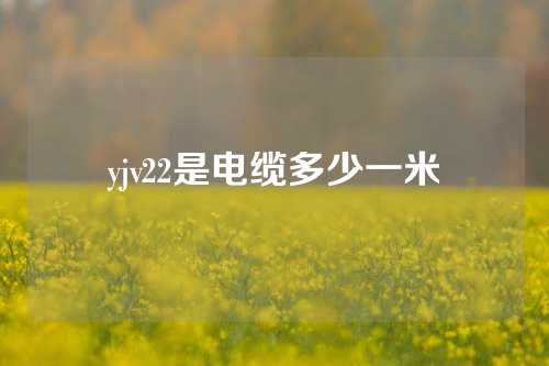 yjv22是电缆多少一米