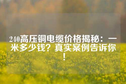 240高压铜电缆价格揭秘：一米多少钱？真实案例告诉你！