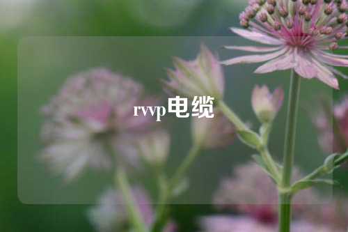 rvvp电缆