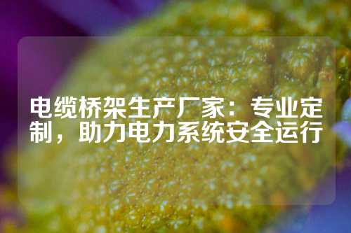 电缆桥架生产厂家：专业定制，助力电力系统安全运行