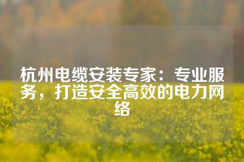 杭州电缆安装专家：专业服务，打造安全高效的电力网络