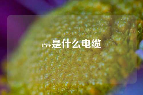 rvv是什么电缆