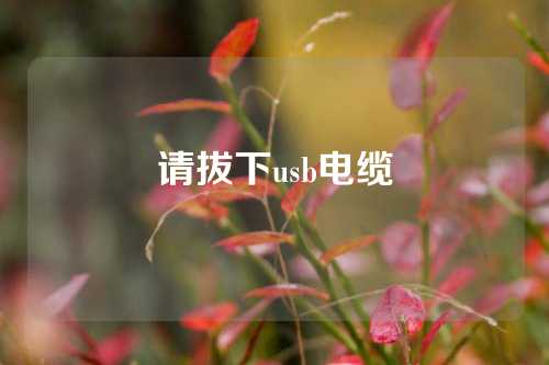 请拔下usb电缆