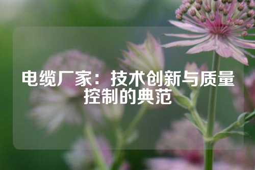 电缆厂家：技术创新与质量控制的典范