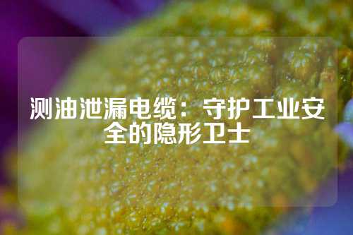 测油泄漏电缆：守护工业安全的隐形卫士