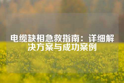 电缆缺相急救指南：详细解决方案与成功案例