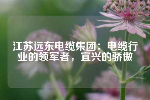 江苏远东电缆集团：电缆行业的领军者，宜兴的骄傲