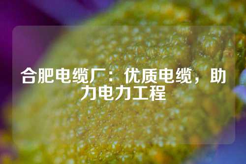 合肥电缆厂：优质电缆，助力电力工程