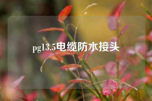 pg13.5电缆防水接头