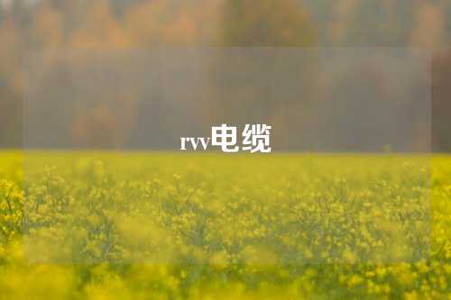 rvv电缆