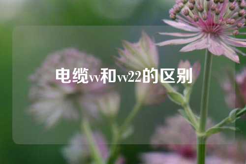 电缆vv和vv22的区别