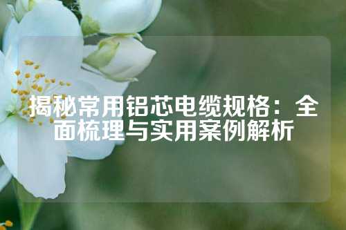 揭秘常用铝芯电缆规格：全面梳理与实用案例解析