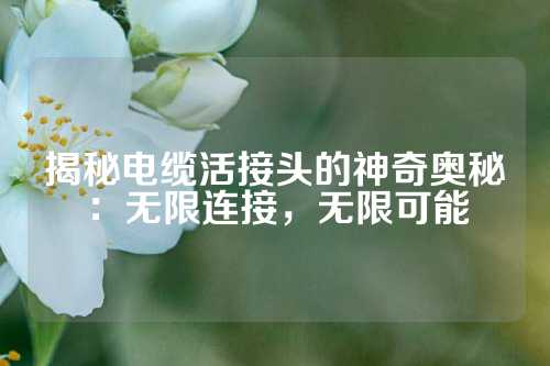 揭秘电缆活接头的神奇奥秘：无限连接，无限可能