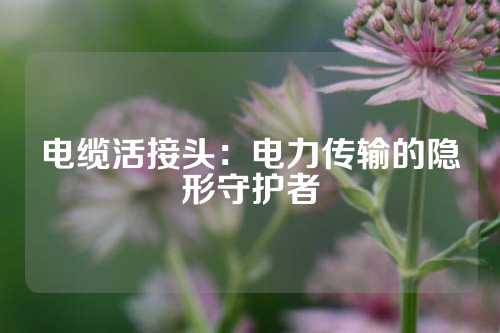 电缆活接头：电力传输的隐形守护者